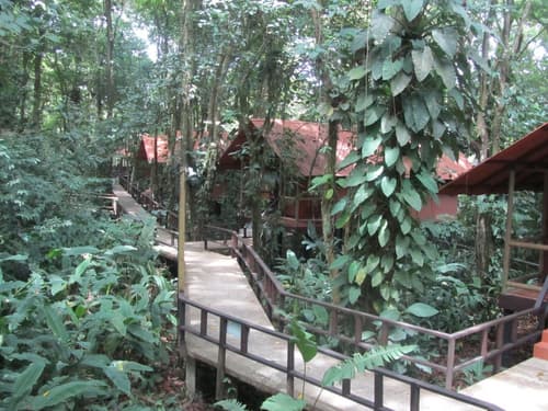 Foresta Lodge, Property grounds