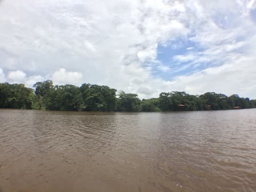 Foresta Lodge, Lobby