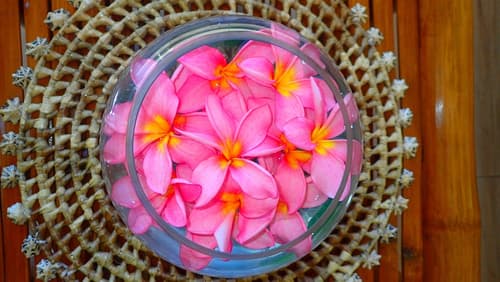 Aozora Seaside Mactan, Reception