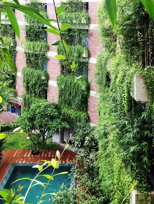 Mulberry Collection Silk Eco, Pool