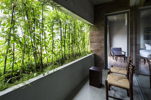 Mulberry Collection Silk Eco, Room