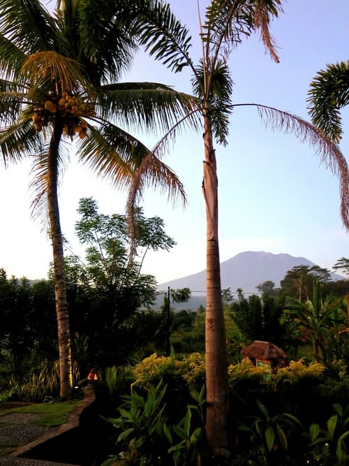 Villa Lihat Sawah