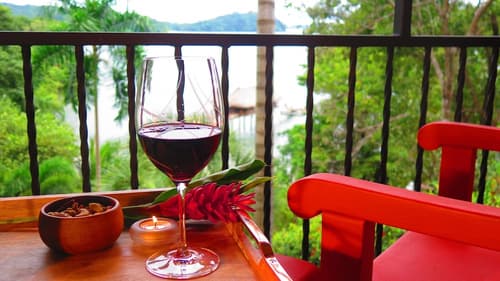 Seagull Cove Resort, Terrace/patio