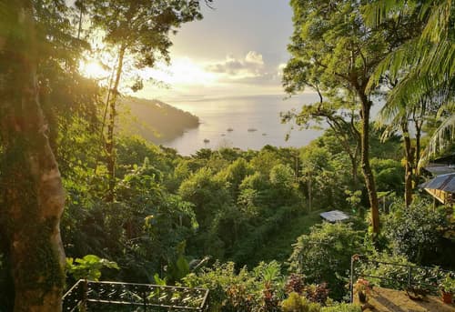 Mango Moon Villa, Primary image