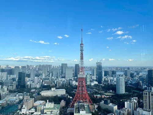 HOTEL AMANEK Ginza East, City view from property