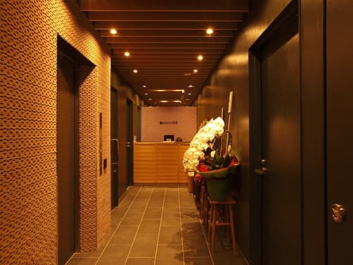 HOTEL AMANEK Ginza East, Lobby
