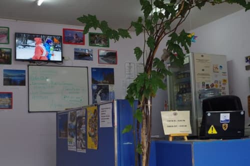 Hostel Los Cormoranes, Reception