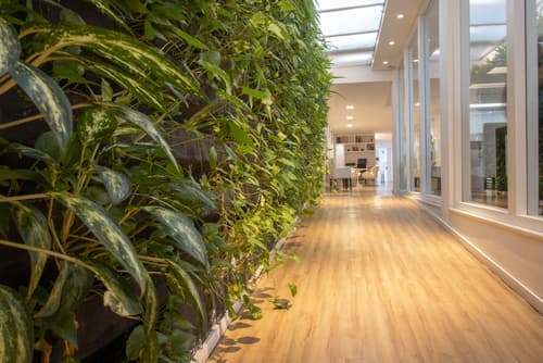 Samba Bossa Nova Ipanema, Reception