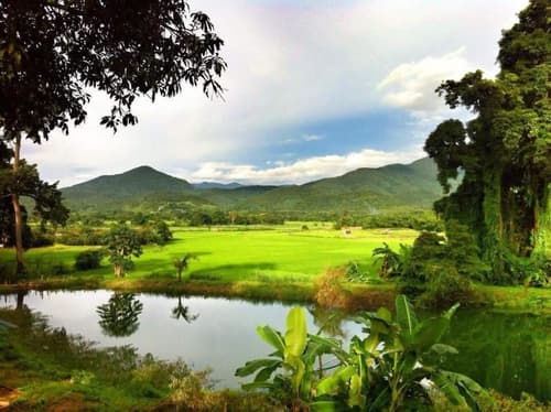 Above the Sea Guesthouse, Golf