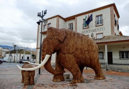 Hostal y Apartamento Rural Los Naranjos, Hiking