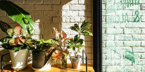 Hotel Pacific Kanazawa