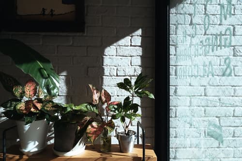 Hotel Pacific Kanazawa