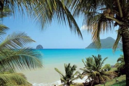 Le Paradis de l'Anse, Primary image