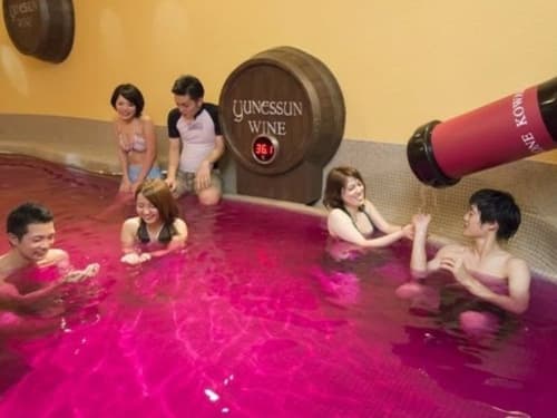 Hakone Kowakien TEN-YU, Water park