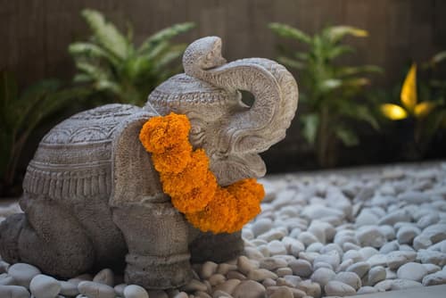 Solo Villas and Retreat, Room