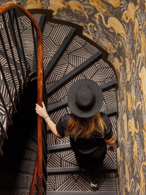 Snob Hotel, Reception