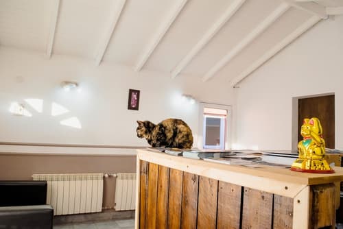 Hosteria Patagonia, Reception