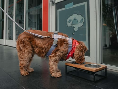 ibis Lima Reducto Miraflores, Miscellaneous