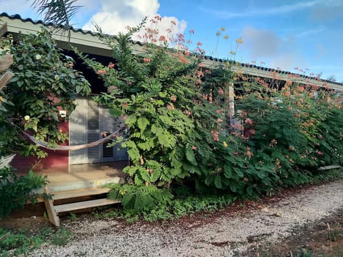 Red Palm Village, Room