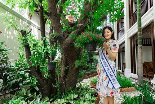 Viangluang Resort, Living area