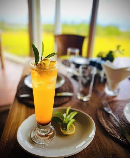 Bubble Lodge Bois Chéri