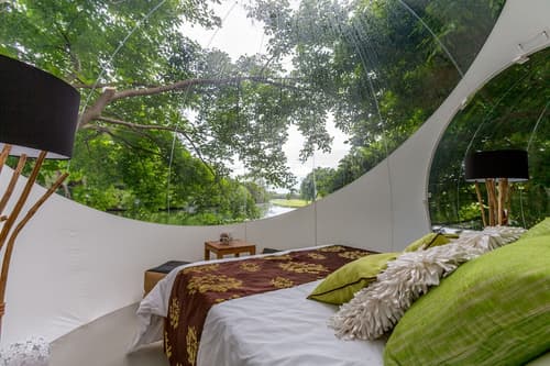 Bubble Lodge Bois Chéri, Room