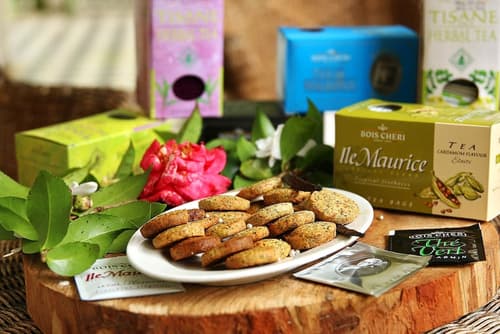 Bubble Lodge Bois Chéri