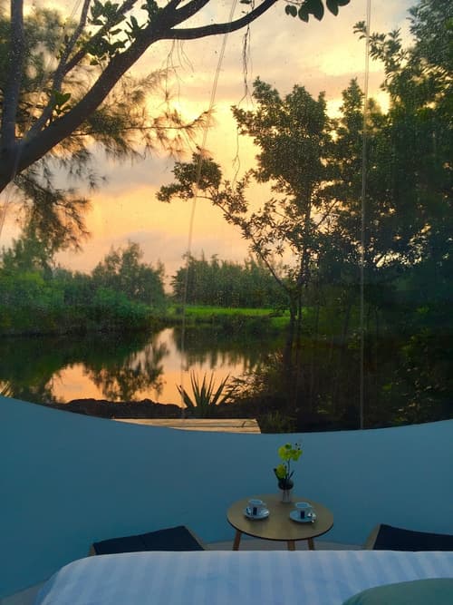 Bubble Lodge Bois Chéri