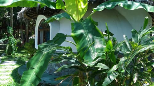 Flower Power Village, Room