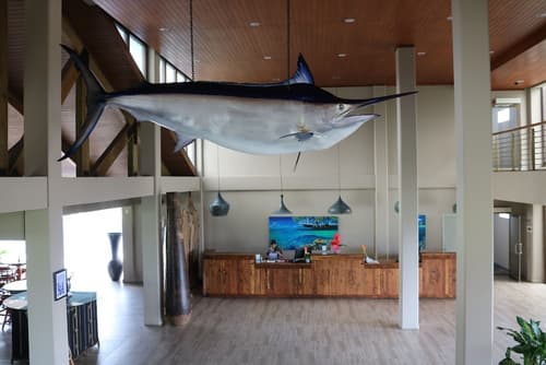 Cove Resort Palau, Reception