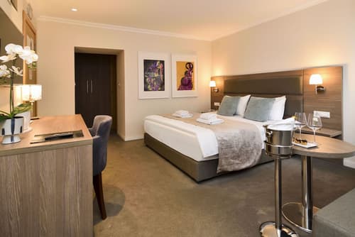 Hotel Opera Garni, Room