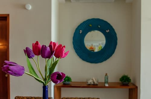 Aquastar Hotel & Apartments, Reception