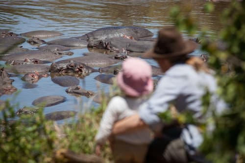 Elewana Serengeti Migration Camp