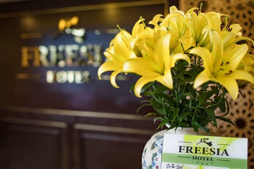 Freesia Hotel, Reception