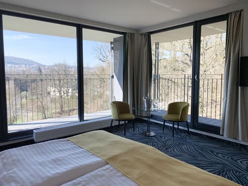 Parkhotel Carlsbad Inn, Room