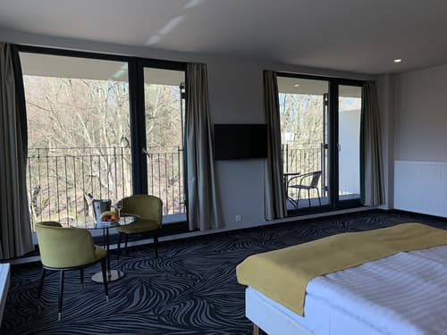 Parkhotel Carlsbad Inn, Room