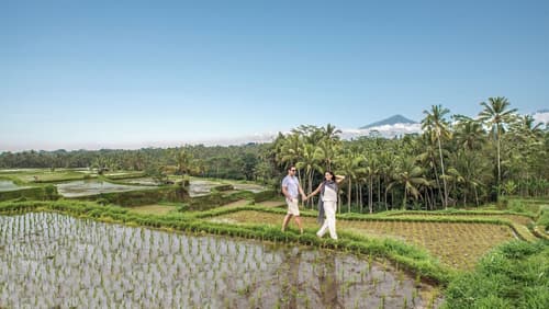 Samsara Ubud, Hiking