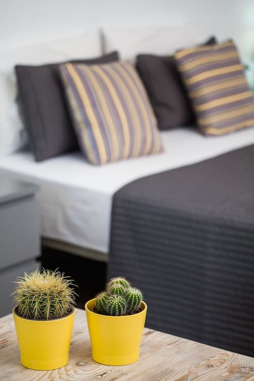 Olive Mykonos Villas, Room