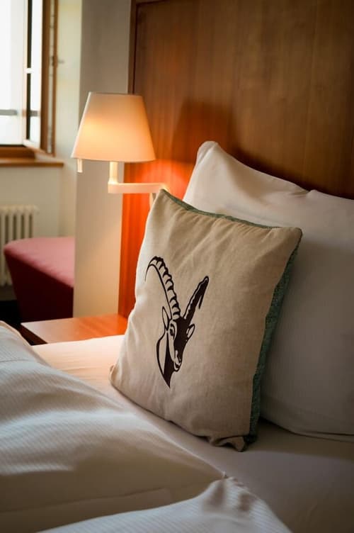 Hotel Pilatus Kulm, Room