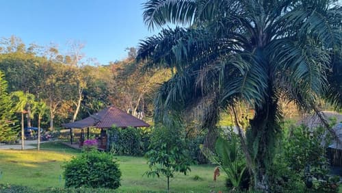 Mookies Bungalow, Terrace/patio