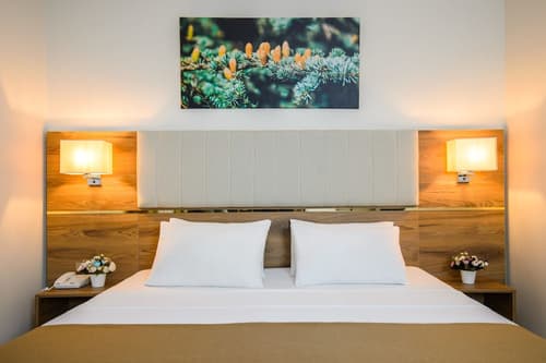 White House Hotel, Room