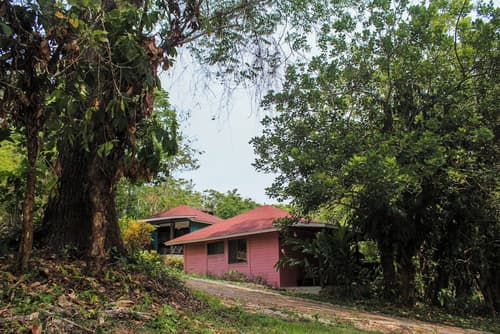 Winíka Alterra, Primary image