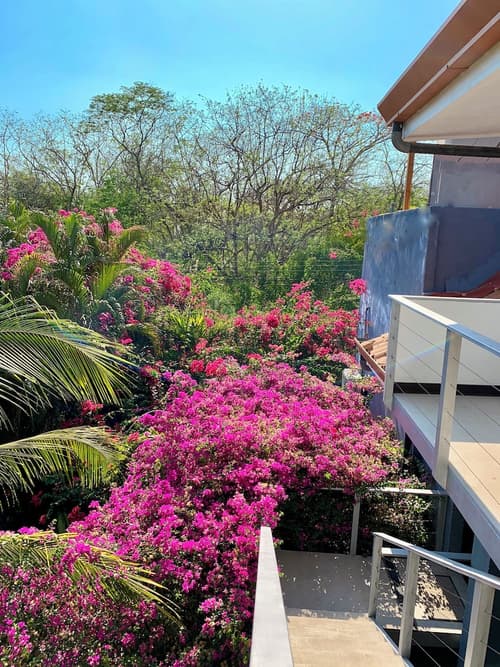 Hotel El Manglar & Cantarana