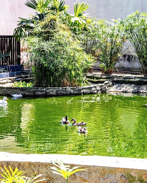 Hotel Espelho D’Água Arraial Beach Club