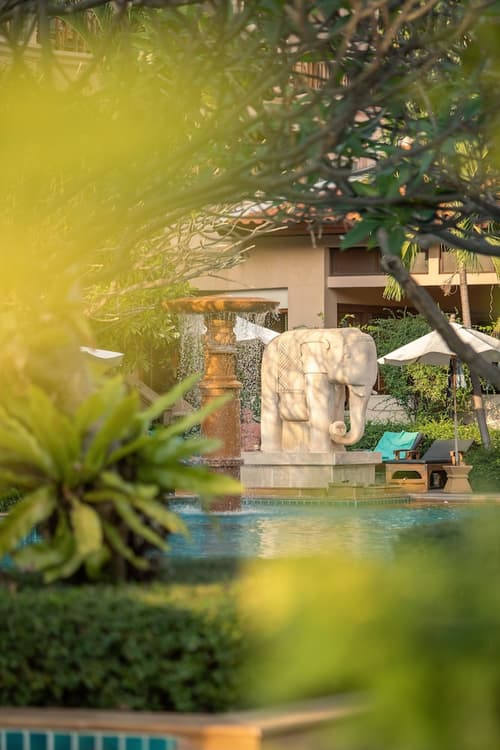 Avalon Beach Resort, Garden