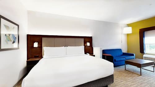 Holiday Inn Express & Suites Chalmette - New Orleans S by IHG, Room