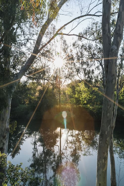 River Terrace Inn, View from room