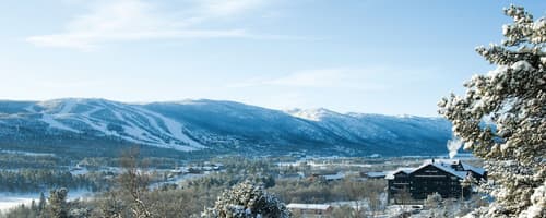 Highland Lodge, Terrace/patio