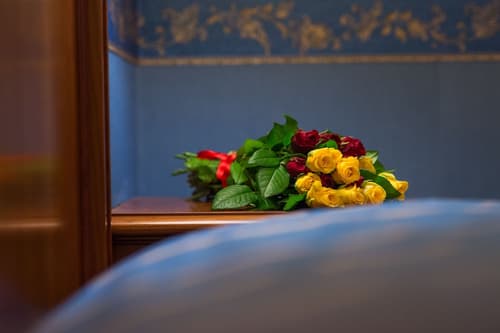 Diana Park Hotel, Room