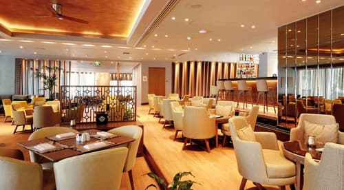 Zeus Wyndham Grand Athens, Lobby